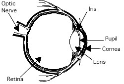 eye image
